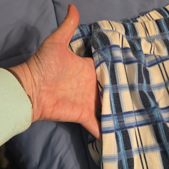 Only Necessities Blue and White Plaid Women Shorts - Picture 3 of 6